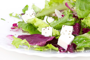 Salad with leafs and sheep cheese on plate