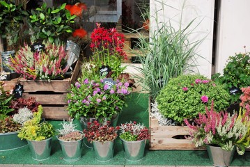 Fototapeta na wymiar Schöne Warenpräsentation in einem Blumenladen