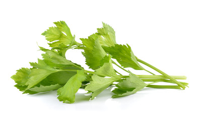 Fresh green celery isolated on white background