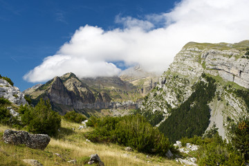 Pyrenees