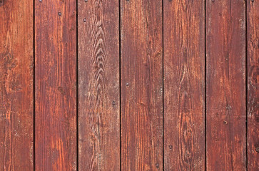 the brown old wood texture with knot