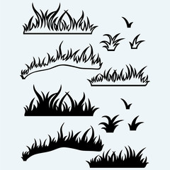 Silhouette grass. Isolated on blue background