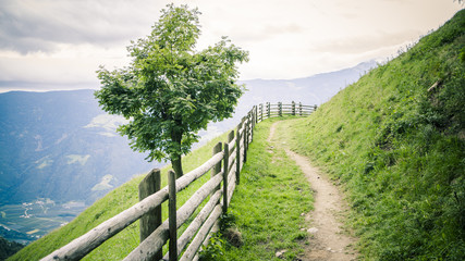 Wandern in Südtirol III