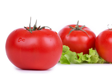 Tomatoes and green salad leafs on white