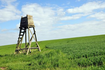 Wandern in der Dahlener Heide