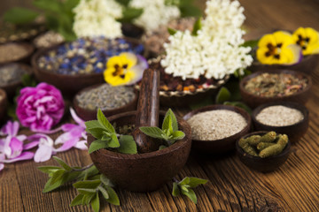 Fototapeta na wymiar Fresh medicinal herbs on wooden background