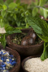 Natural remedy,Herbal medicine