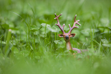jouet brame cerf cervidé nature herbe