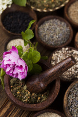 Fresh medicinal herbs on wooden background