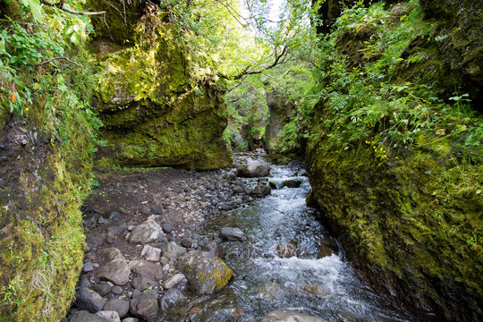 Nauthúsagil canyon