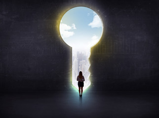 businessman looking a big key