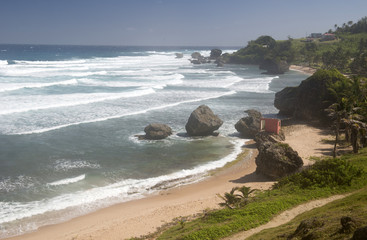 Barbados Island, Caribbean sea