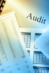 Annual budget, calendar and audit
