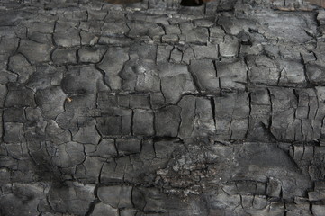 Black charcoal texture background. Burnt wood texture