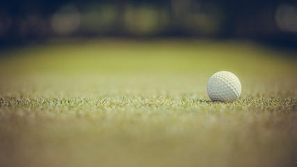 golf ball on the green