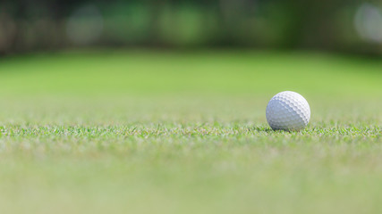 golf ball on the green