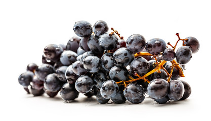 Twig of black grapes