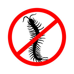 hand-drawn centipede cartoon, insect icon. vector 
