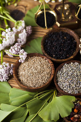 Ginkgo,maidenhair tree, Natural remedy