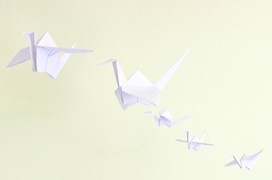 Grulla origami papel