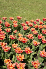 Sigurt&agrave; Park, Veneto, Italy