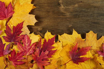 yellow autumn leaves frame on wood background