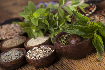 Alternative medicine, dried herbs background