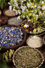 Assorted natural medical, herbs and mortar