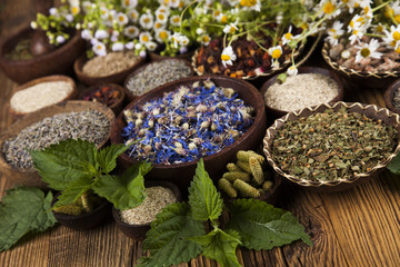 Fresh medicinal herbs