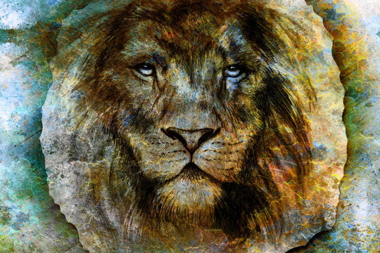 Drawing of a lion head  on wood abstract background eye contact