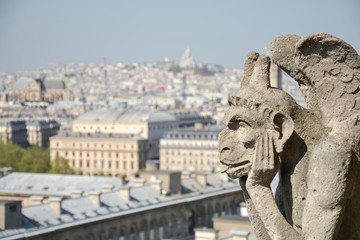 Fototapeta na wymiar Paris from above, Notre Damme view