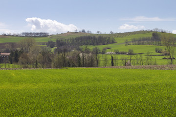 Panorami del Monferrato