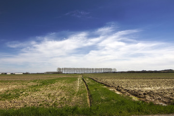 Fototapeta premium Panorami del Monferrato