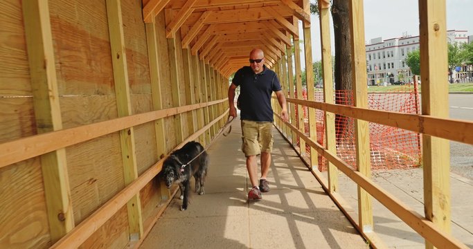 Man Walks Dog in Washington DC Neighborhood