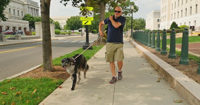 Man Walks Dog Near the Capitol in Washington DC