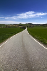 Fototapeta premium Strade del Monferrato