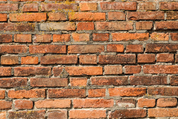 Fototapeta premium Bricks