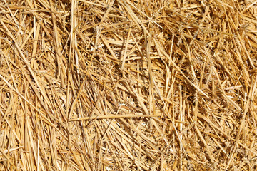 Haystack background