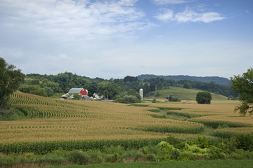 Wisconsin farm with red barn and corn field - obrazy, fototapety, plakaty