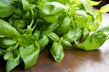 fresh bunch of basil