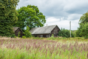 old wooden house near forest