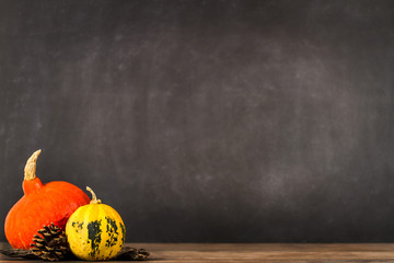 Kürbisse mit Zapfen vor Blackboard