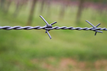 Barbed wire. Security, protection, border, private property, outdoors