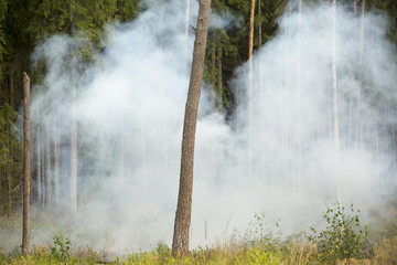 training explosions at the military exercises