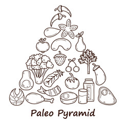 Set of objects in hand drawn style on diet theme: meat, fish