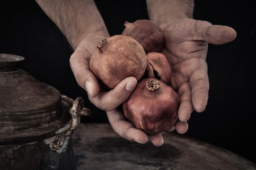 Naklejka premium man holding pomegrante fruit