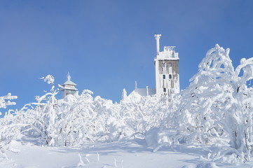 Traumhafte Winterlandschaft/strahlend wolkenloser Himmel, eine traumhafte Winterlandschaft auf dem...