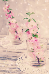 Beautiful fruit blossom in glasses on table on light background