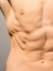 Abdominal muscles