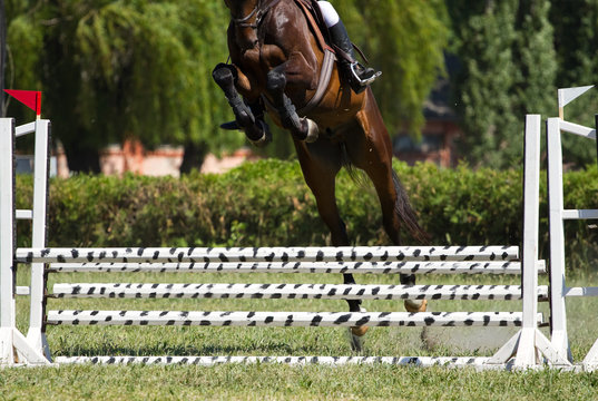 Horse jump a hurdle